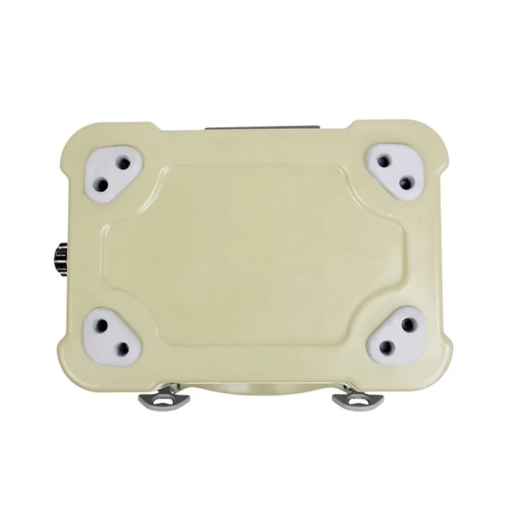 20L Ice Cream Cooler Box For Camping